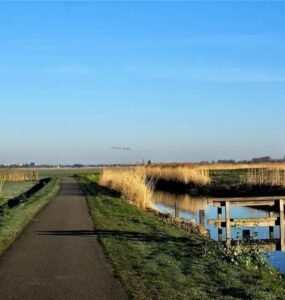 Autoaceitação: Como Aceitar Suas Qualidades e Limitações